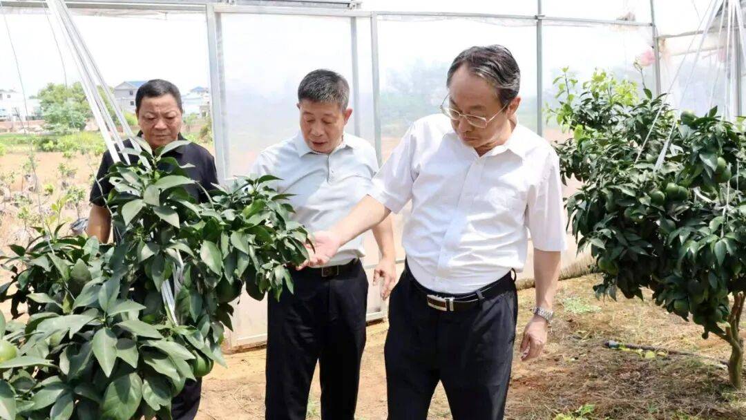 省发展改革委党组书记、主任王前虎赴余干调研