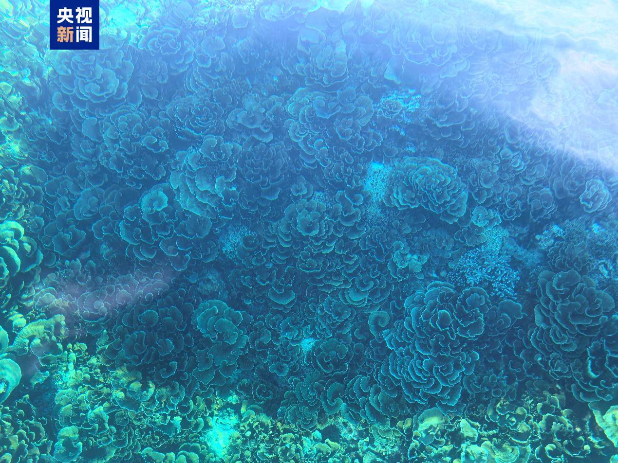 菲律宾非法“坐滩”船只周边海域出现大量垃圾，中国海警组织打捞