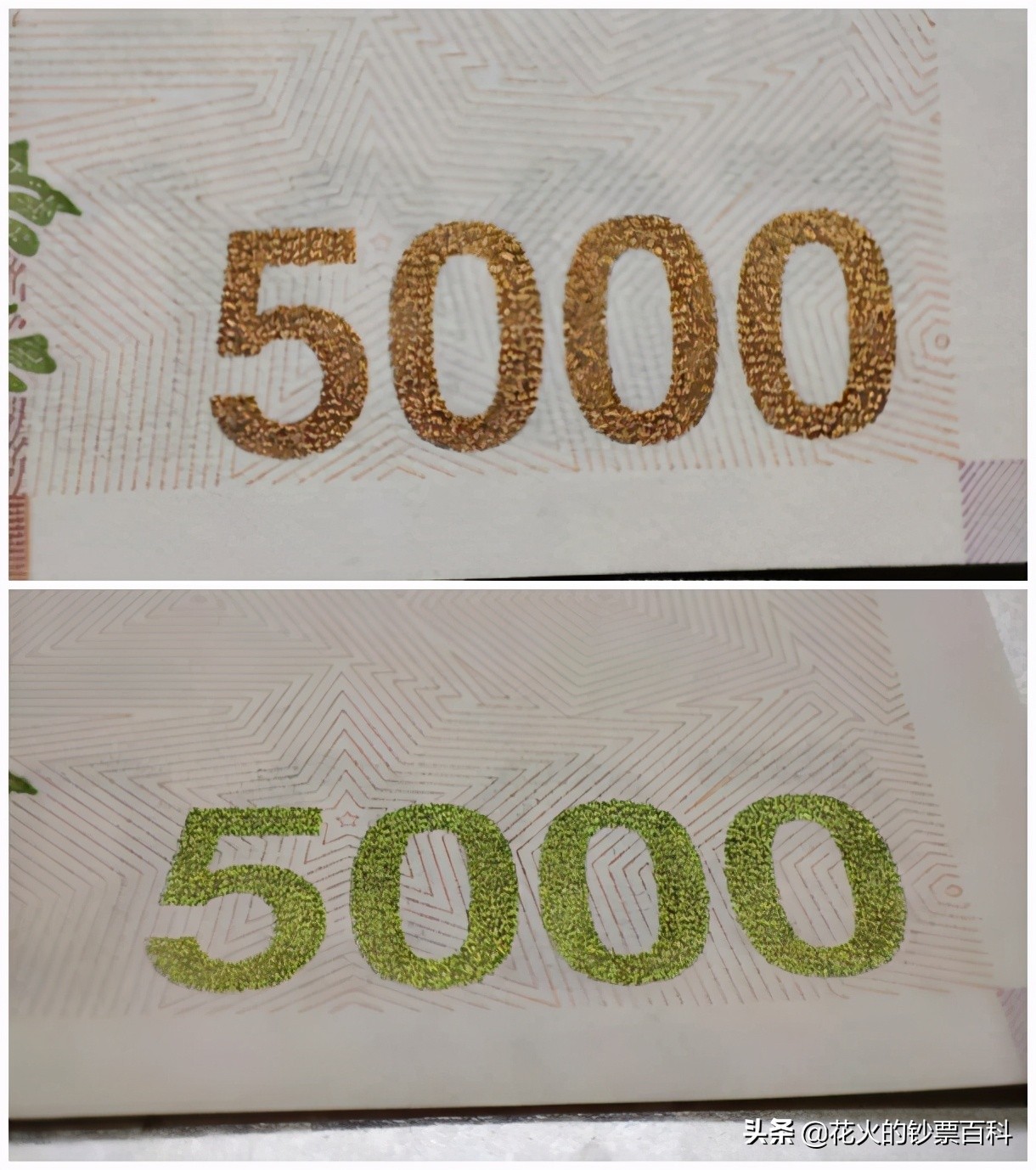 定投莱特币(莱特币 空投)