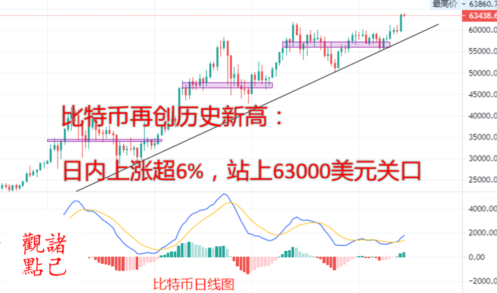 莱特币走势(莱特币走势 美元)
